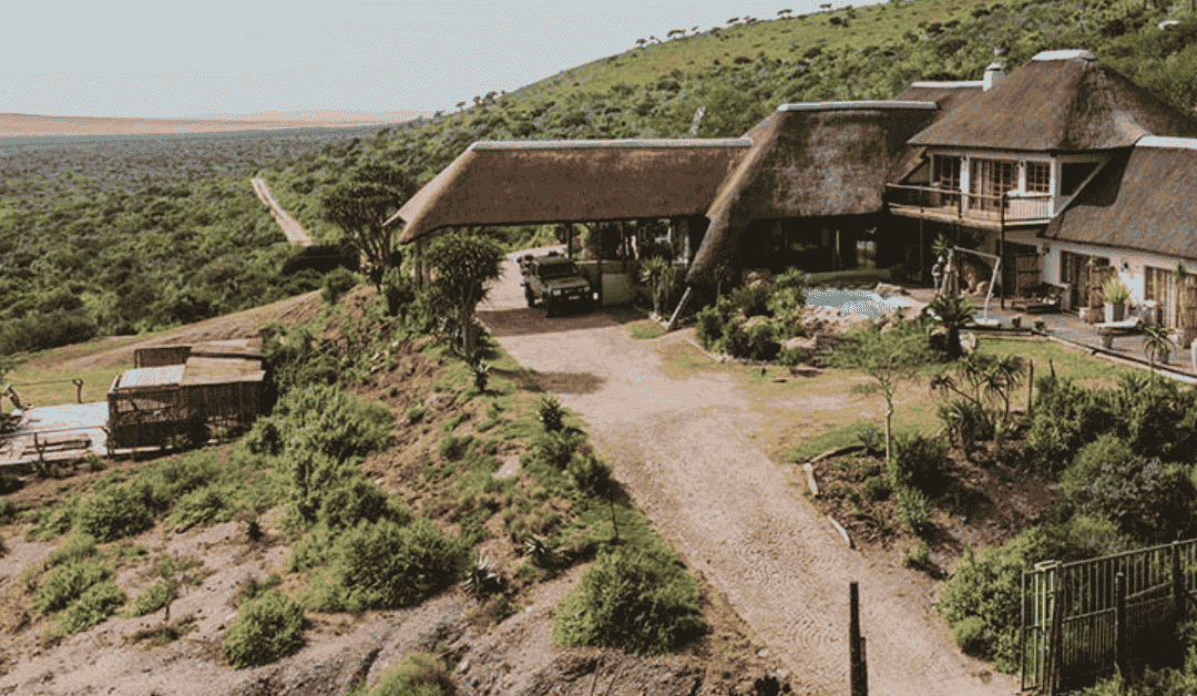 Hunting Lodges in South Africa: Selecting Premium Bushveld Hospitality